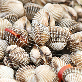 Los mejores Mariscos